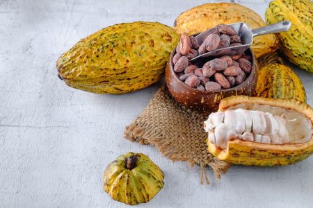 Chocolate y otros productos de cacao